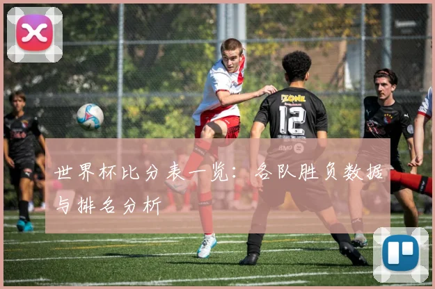 世界杯比分表一览：各队胜负数据与排名分析