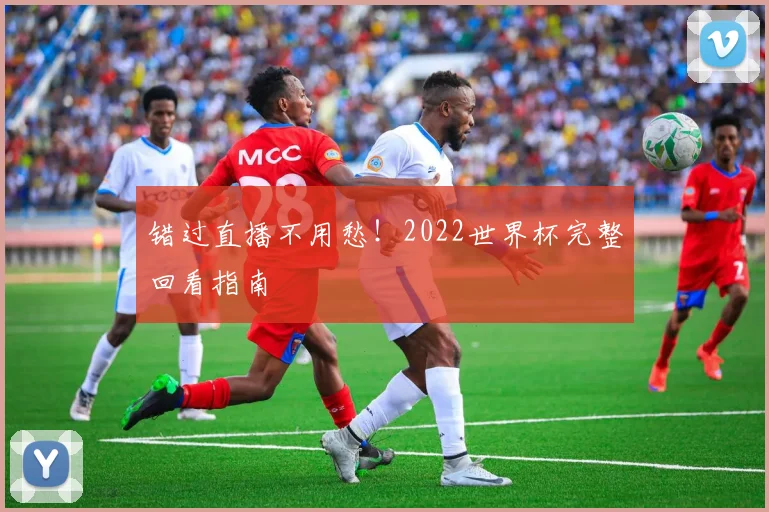 错过直播不用愁！2022世界杯完整回看指南