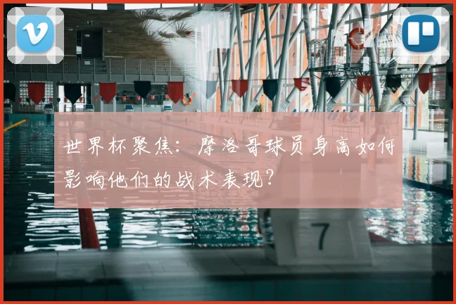 世界杯聚焦：摩洛哥球员身高如何影响他们的战术表现？