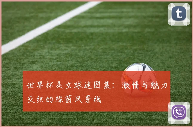 世界杯美女球迷图集：激情与魅力交织的绿茵风景线
