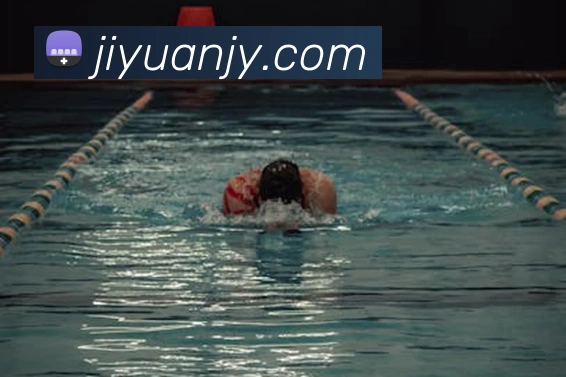 云开体app登录入口服务体系